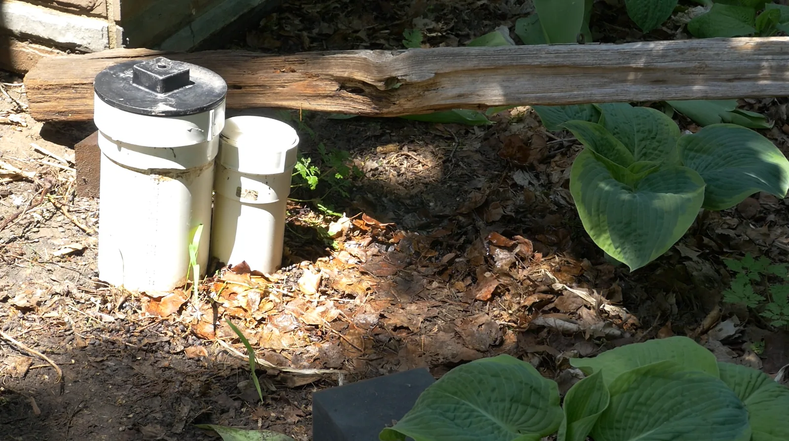 Real field example used in RSM training